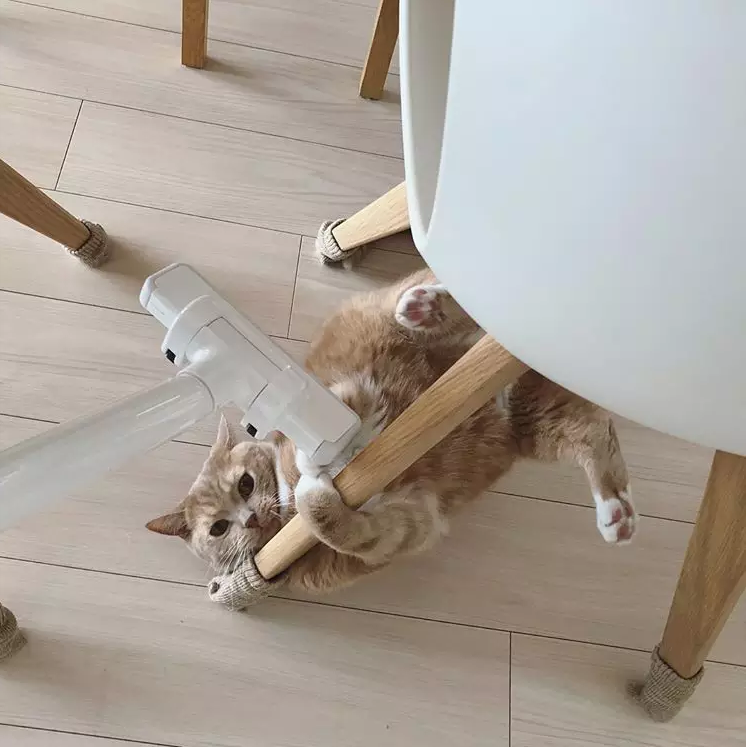 日本卖疯了的吸尘器，却比戴森便宜一半！